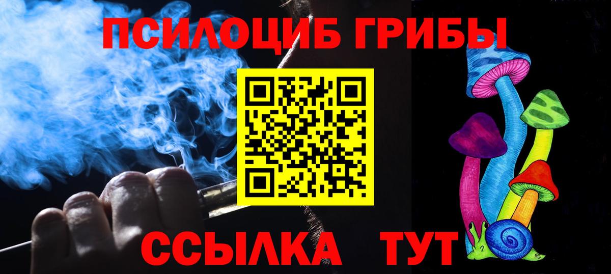 Елизово  Псилоцибиновые грибы Psilocybine cubensis  Вход с VPN 