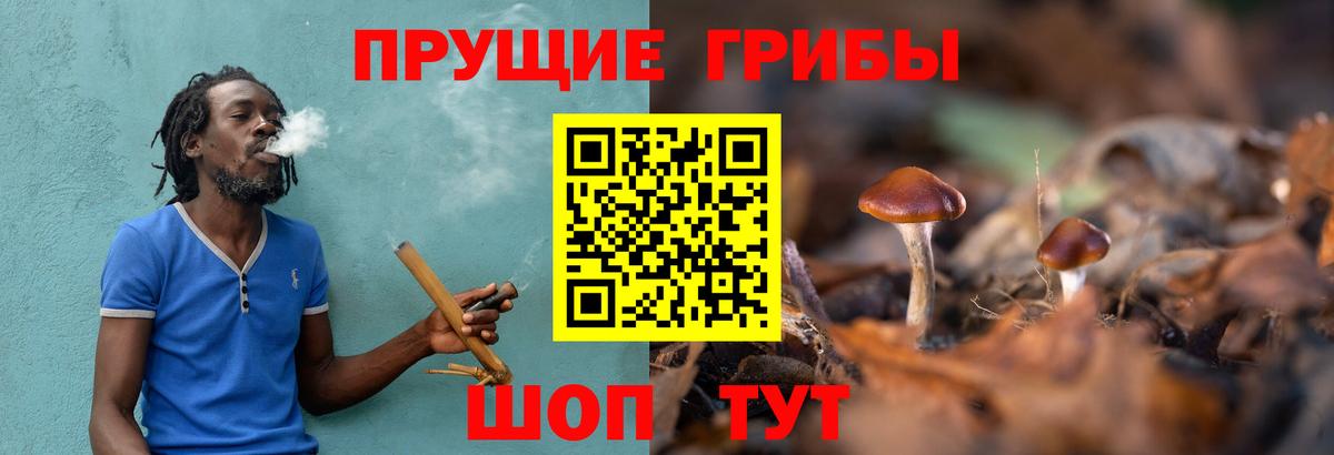 Галлюциногенные грибы мухоморы Елизово